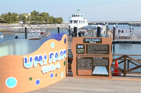 海育がテーマ 八景島デートに最適な遊べる 学べる 食べれる 八景島シーパラダイス うみファーム 横浜カフェ 横浜観光名所めぐり